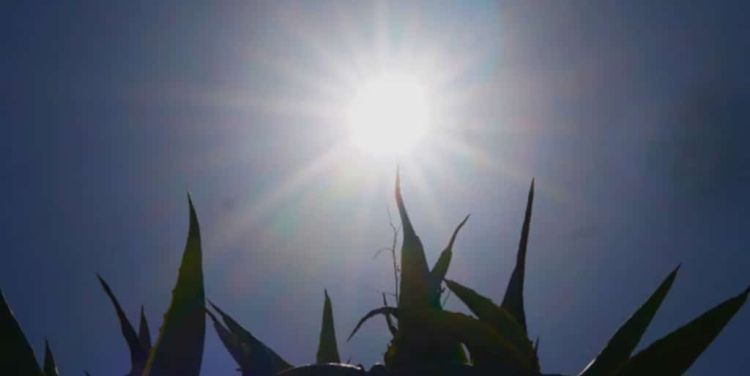 Ο Καιρός Σήμερα: Ηλιοφάνεια με λίγες νεφώσεις και τοπικές βροχές