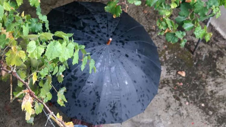 Ο Καιρός Σήμερα: Συννεφιά με βροχές και τοπικές καταιγίδες