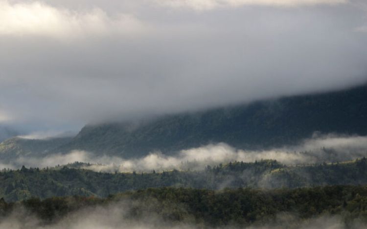 Ο Καιρός Σήμερα: Συννεφιά με τοπικές βροχές