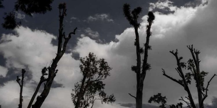 Ο Καιρός Σήμερα: Συννεφιές, από το μεσημέρι τοπικές βροχές και σποραδικές καταιγίδες