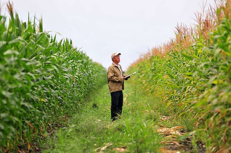 Προσλαμβάνονται 130 Γεωπόνοι συμβασιούχοι, οκτάμηνης διάρκειας μέσω ΑΣΕΠ