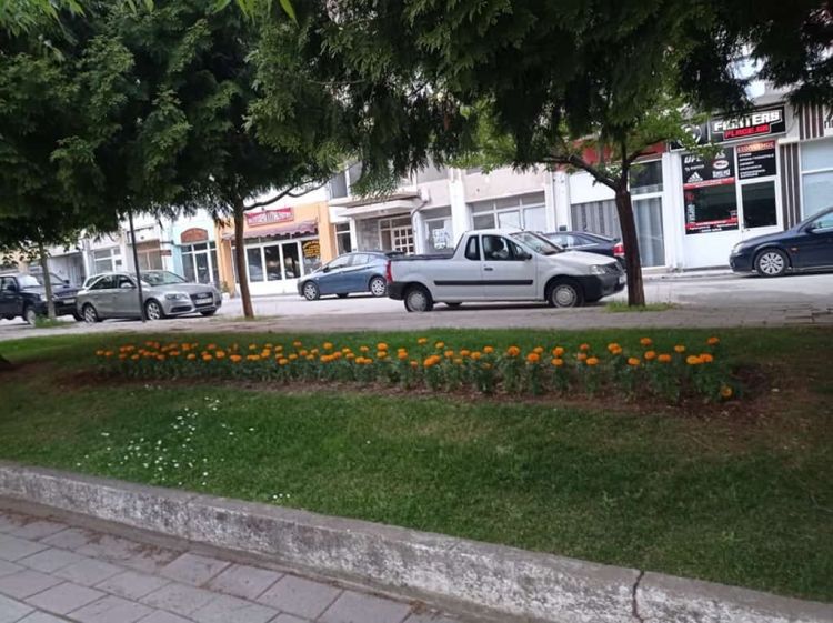 Φυτεύσεις λουλουδιών και περιποίηση πρασίνου στην πόλη της Φλώρινας
