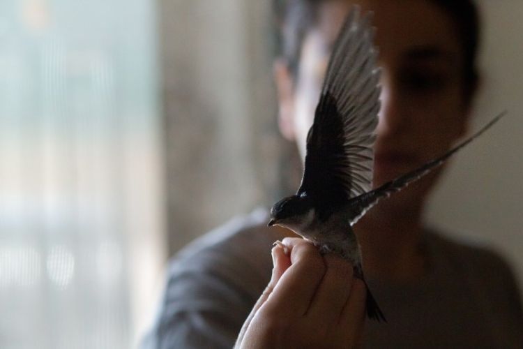 Mωρά ζωάκια «κατέλαβαν» τη Δράση για την Άγρια Ζωή