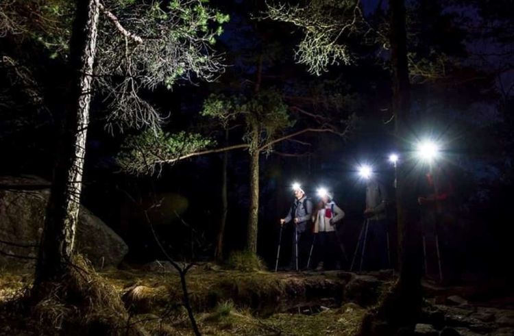 Nυχτερινή βόλτα του ΣΕΟ