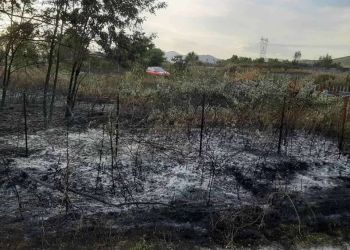 Κατάσβεση Της Πυρκαγιάς Στην Περιοχή Κάργα Του Δήμου Άργους Ορεστικού