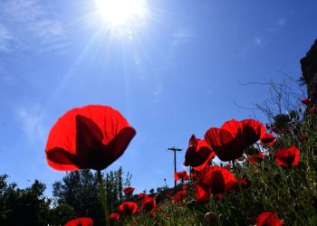 Ο Καιρός Σήμερα: Γενικά αίθριος με πρόσκαιρες νεφώσεις