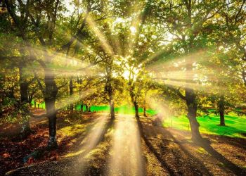 Ο Καιρός Σήμερα: Ηλιοφάνεια με άνοδο της θερμοκρασίας