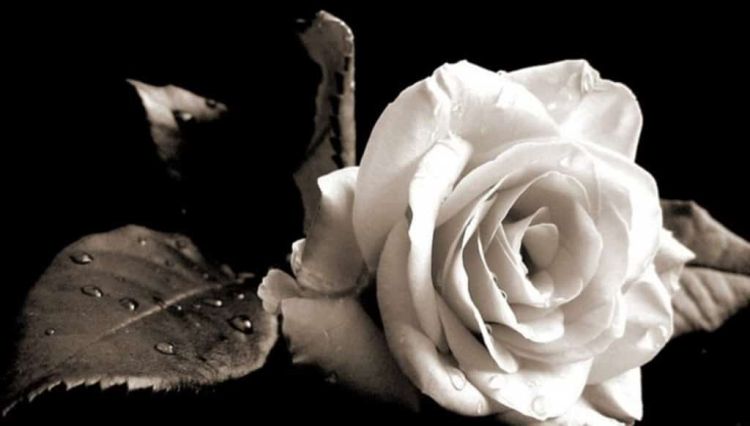 “Έφυγε” από τη ζωή O Απόστολος Γκατζιούρας.