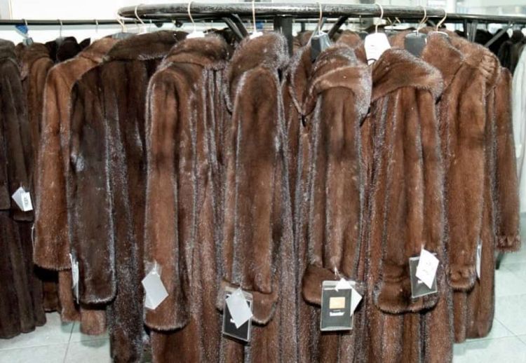 Αναστολή συμβάσεων εργασίας στον κλάδο της γουνοποιίας για τους μήνες Ιούλιο Αύγουστο & Σεπτέμβριο