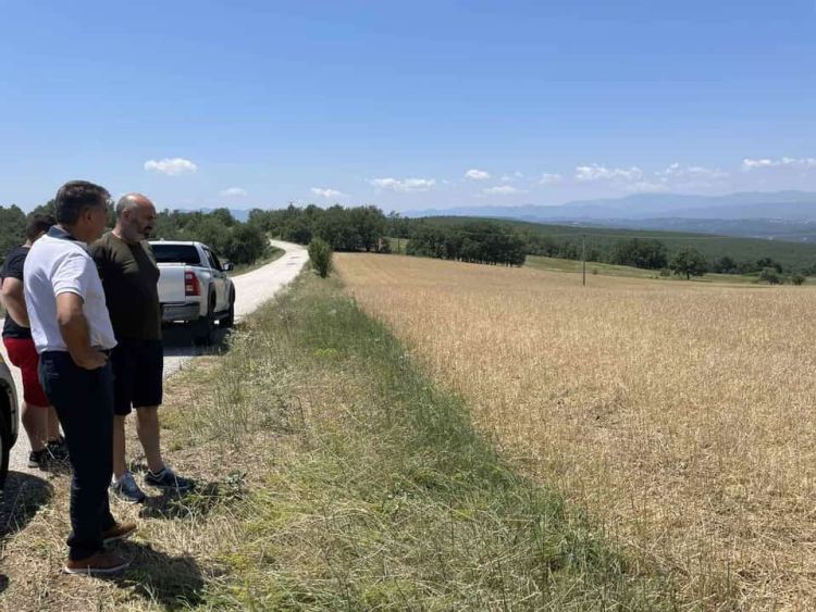 Από τη Χαλαζόπτωση στην Ανθρακιά – Απώλειες σε ζωικό και φυτικό κεφάλαιο   