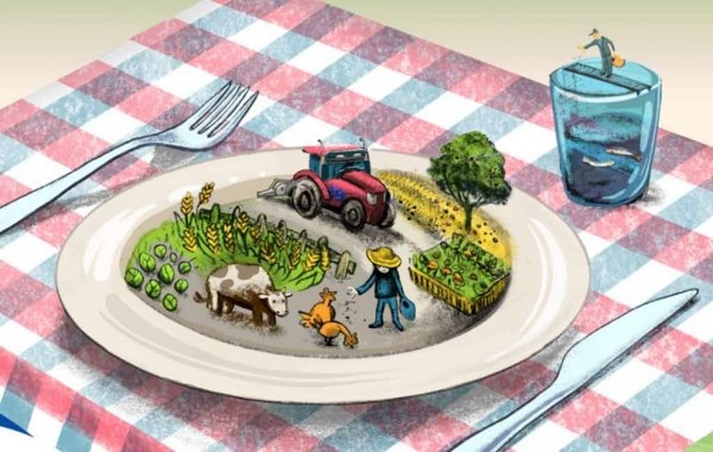 Από Το Αγρόκτημα Στο Πιάτο – Ο Κλάδος Των Τροφίμων Δείχνει Τη Βούλησή Του Για Αλλαγή