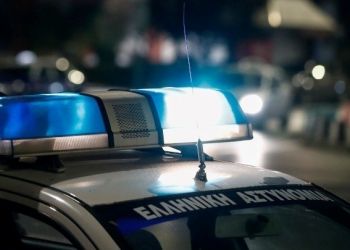 Γρεβενά: Αρκούδα τραυματίστηκε θανάσιμα σε τροχαίο στην Εγνατία οδό