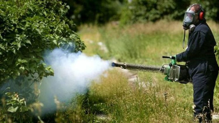 Δράσεις για την καταπολέμηση κουνουπιών στην Π.Ε. Φλώρινας