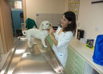 Η Περιφέρεια Δυτικής Μακεδονίας παραχωρεί χώρο στο Δήμο Κοζάνης για δημιουργία Δημοτικού Κτηνιατρείου