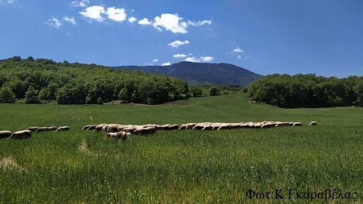 Καημένη Ελλάδα σέρνεσαι…