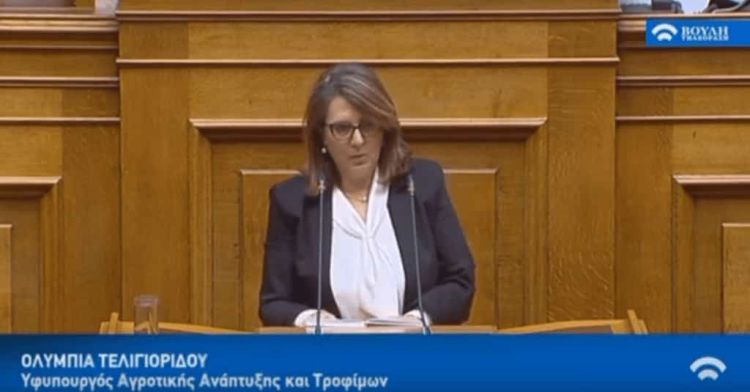 Ομιλία Ολυμπίας Τελιγιορίδου στην Επιτροπή Παραγωγής και Εμπορίου για την πρωτογενή παραγωγή