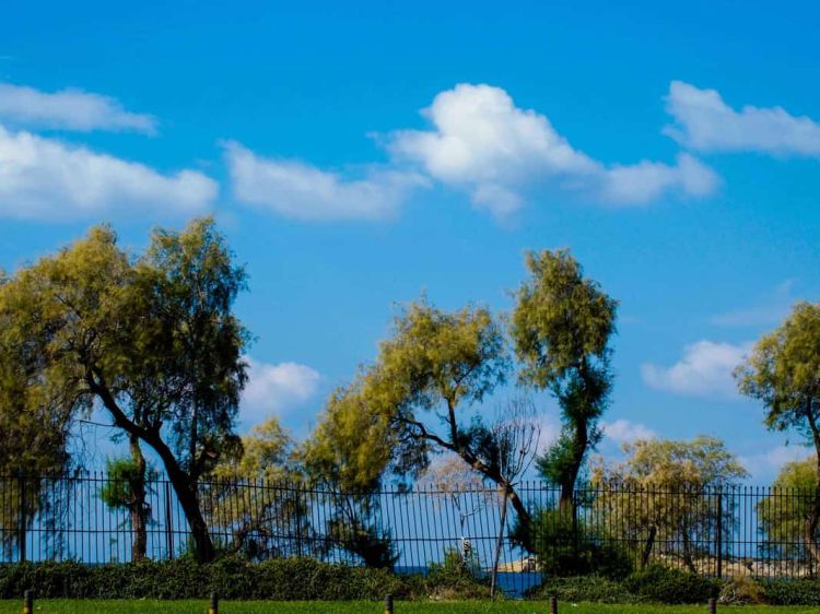 Ο Καιρός Σήμερα: Αίθριος με τοπικές νεφώσεις και μικρή πτώση της θερμοκρασίας