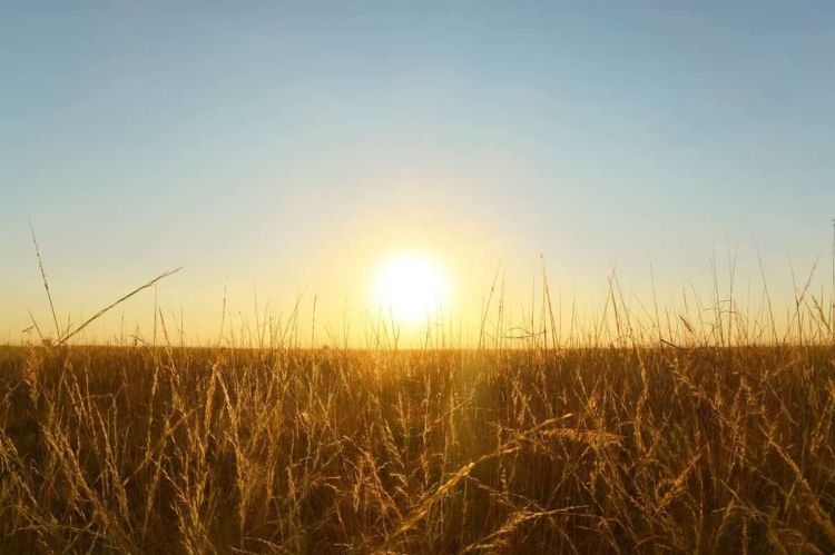 Ο Καιρός Σήμερα: Ηλιοφάνεια και άνοδος της θερμοκρασίας