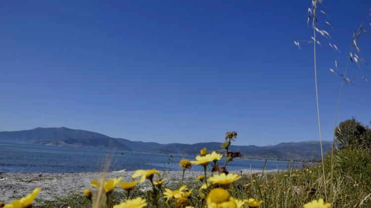 Ο Καιρός Σήμερα: Με υψηλές θερμοκρασίες «φεύγει» ο Ιούλιος