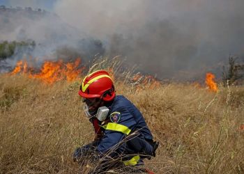 Πλατφόρμα έγκαιρης ανίχνευσης πυρκαγιών σχεδίασαν μαθητές από το Βόλο