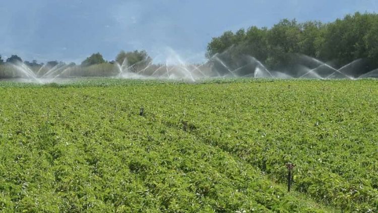 ΥΠΑΑΤ: Αρδευτικά έργα 41,5 εκατομμυρίων ευρώ στη Φλώρινα