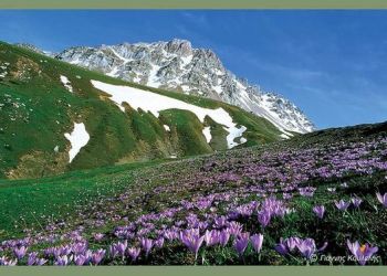 Ο Εοσ Κοζάνης Στην 80Η Πανελλήνια Ορειβατική Συνάντηση Στα Βαρδούσια Όρη