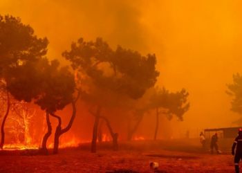 Πυρκαγιές: Στο Έλεος Της Φωτιάς Τα Βατερά Στη Λέσβο Και Η Δαδιά Στον Έβρο