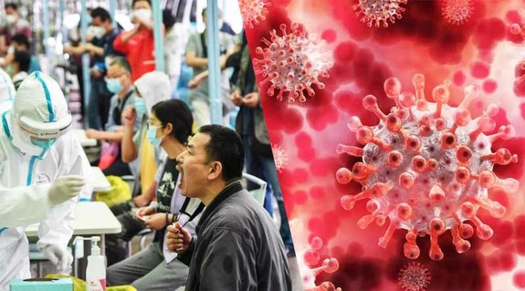 ΕΟΔΥ: Όσα γνωρίζουμε για τον Langya, συμπτώματα και τρόποι μετάδοσης