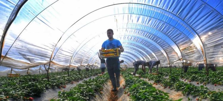 Εγκρίθηκαν οι πιστώσεις για την καταβολή ενισχύσεων ύψους 223,3 εκατομμυρίων ευρώ για το πρόγραμμα Νέων Γεωργών