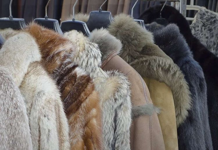 Ειδικός χώρος στο Κέντρο Γούνας Δ. Μακεδονίας, για δημιουργίες σχεδιαστών