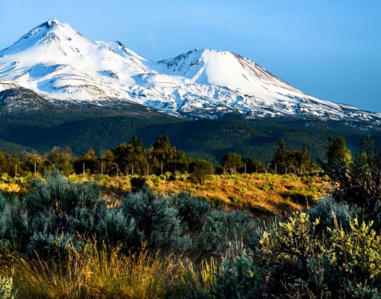 ΗΠΑ: Θρίλερ με πάρκο που «καταπίνει» ανθρώπους – 11 εξαφανίσεις σε 10 χρόνια