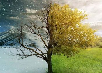 Μερομήνια: Πώς θα είναι το φθινόπωρο και ο χειμώνας – Ποιοι θα είναι οι «σκληρότεροι» μήνες