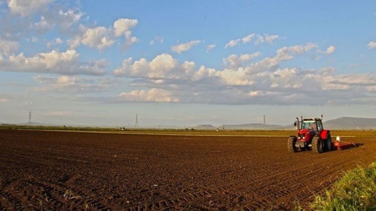 Ξεκινούν οι πληρωμές νέων αγροτών σε τρεις περιφέρειες