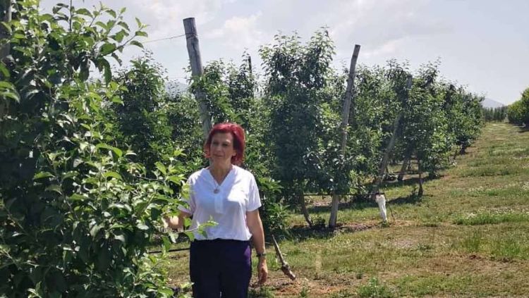 Παρασκευή Βρυζίδου: Σε εξέλιξη οι πληρωμές των αποζημιώσεων στους δενδροκαλλιεργητές  για το προανθικό στάδιο