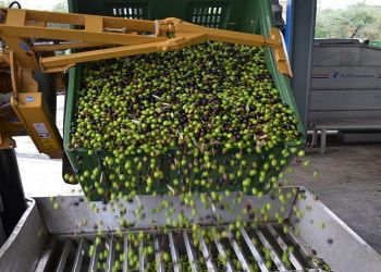 Υπουργείο Τουρισμού: Έρχονται τα επισκέψιμα Ελαιοτριβεία, Ζυθοποιεία και Τυροκομεία