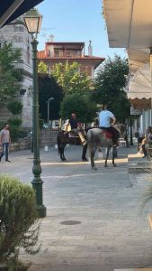 Η ώρα της επιστροφής: Οι καβαλάρηδες του Κρόκου μεταφέρουν τα ιερά οστά του Αγίου Νικάνορα στη Ζάβορδα