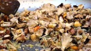 Έπιασαν δουλειά οι ξυλογλύπτες στο Πάρκο των Μανιταριών – Ξεκίνησε το τετραήμερο φεστιβάλ Μανιταρογλυπτικής της πόλης Έπιασαν δουλειά οι ξυλογλύπτες στο Πάρκο των Μανιταριών – Ξεκίνησε το τετραήμερο φεστιβάλ Μανιταρογλυπτικής της πόλης