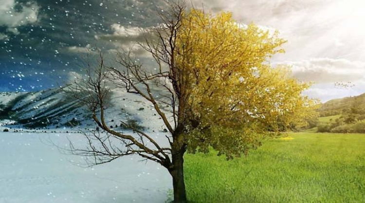 Μερομήνια: Πώς Θα Είναι Το Φθινόπωρο Και Ο Χειμώνας – Ποιοι Θα Είναι Οι «Σκληρότεροι» Μήνες