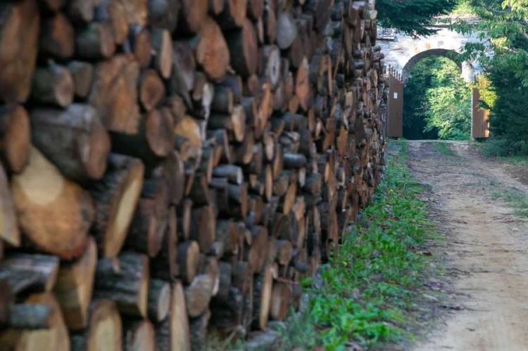 Έρχεται κρατική παρέμβαση στην τιμή των καυσόξυλων και του πέλετ