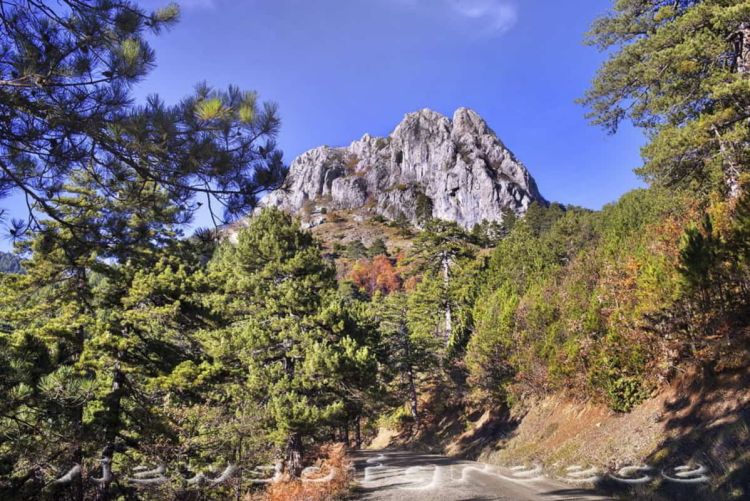 «Εκπόνηση Μελετών για τη Δημιουργία Εκπαιδευτικού Αστρονομικού Πάρκου Όρλιακα