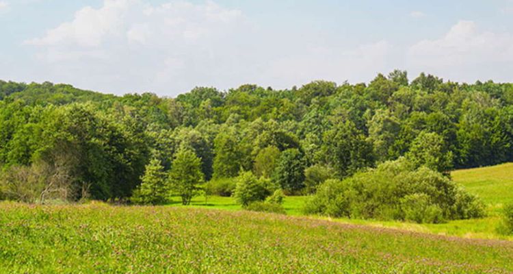 Η δασικη νομοθεσία απαγορεύει τις επενδύσεις και έχει δημιουργήσει στεγαστικό προβλημα