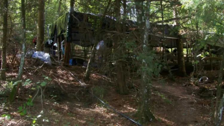 Και γυναίκες έμεναν στη χασισοφυτεία «μαμούθ» στον Όλυμπο