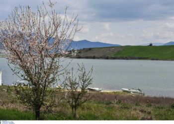 Κοζάνη: Θρίλερ με πτώμα που βρέθηκε στη λίμνη Πολυφύτου