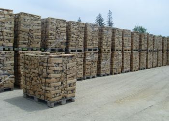 Οι τιμές των καυσόξυλων και οι ελλείψεις δυσκολεύουν τον χειμώνα για τους φτωχότερους της Ευρώπης