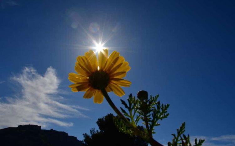 Ο Καιρός Σήμερα: Άνοδος της θερμοκρασίας και ηλιοφάνεια την Κυριακή