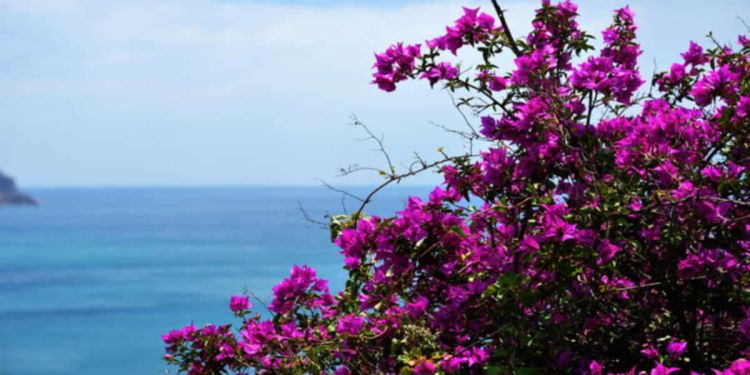 Ο Καιρός Σήμερα: Ηλιοφάνεια με λίγες τοπικές και πρόσκαιρες νεφώσεις και μικρή άνοδος της θερμοκρασίας