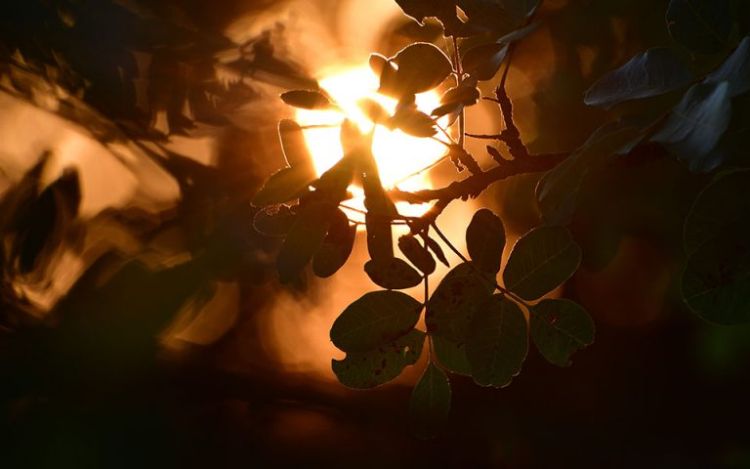 Ο Καιρός Σήμερα: Ηλιοφάνεια με λίγες τοπικές νεφώσεις