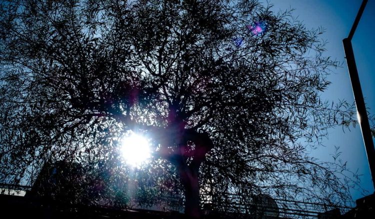 Ο Καιρός Σήμερα: Παρασκευή σήμερα με ηλιοφάνεια και με λίγες τοπικές νεφώσεις