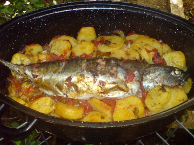 Παγκόσμια Ημέρα Παλαμίδας