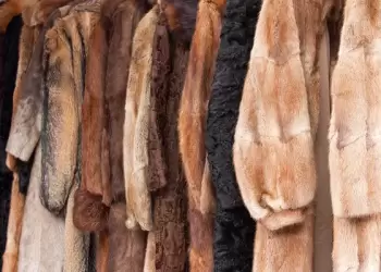 Σίμος Κεδίκογλου:  Ο τομέας της εκτροφής και της μεταποίησης γουνοφόρων ζώων, είναι ιδιαίτερα σημαντικός